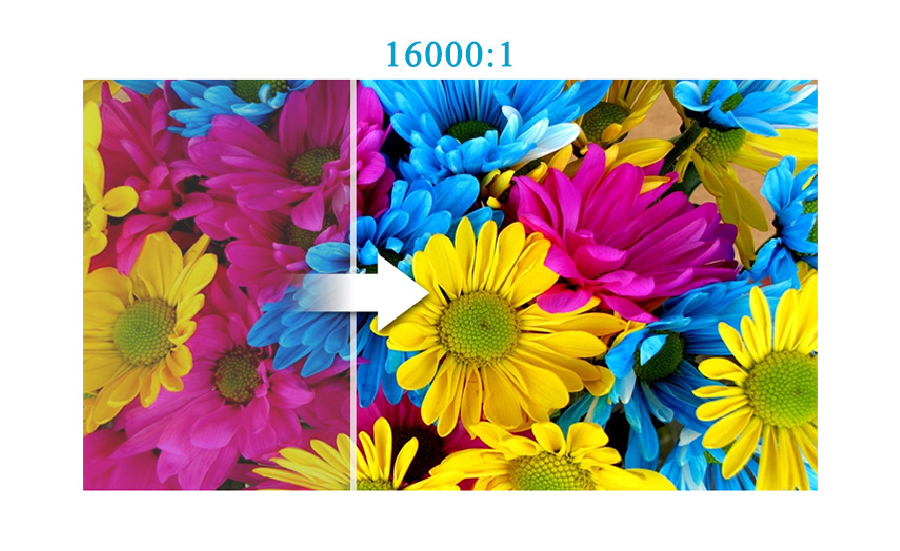 EB-X06-do tuong phan