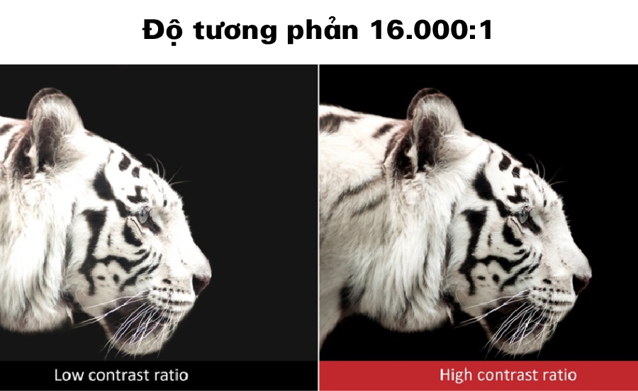 CO-FH02-do tuong phan