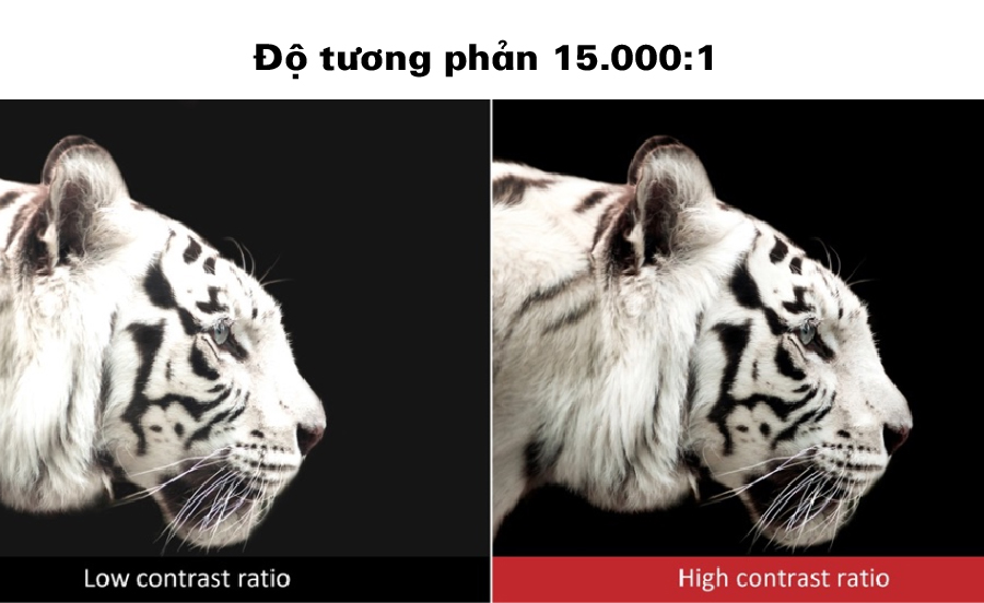 EB-X41-do tuong phan