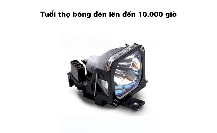 EB-X41-tuoi tho bong den