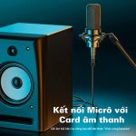 Cáp âm thanh XLR Male to Female Mindpure AU001 thumbnail