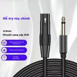 Cáp âm thanh 6.5mm – XLR Male to Male Mindpure AU002 thumbnail