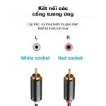 Cáp âm thanh 2RCA (2 đầu đực) Mindpure AU007 thumbnail
