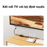 Đầu nối mạng RJ45 1 cổng vào 2 cổng ra Mindpure AD044 thumbnail