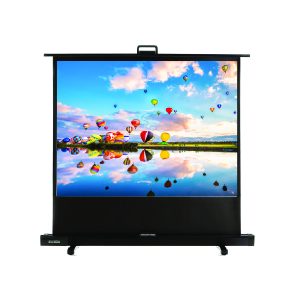 Màn chiếu để sàn 100 inch Dalite FU100TS