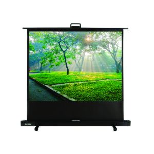 Màn chiếu để sàn 80 inch Dalite FU80TS