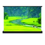 Màn chiếu điện để sàn 120 inch Dalite FU120EST thumbnail