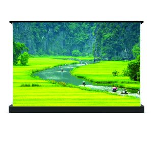 Màn chiếu điện để sàn 120 inch Dalite FU120EST