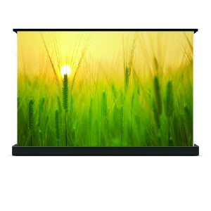 Màn chiếu điện để sàn Dalite FU133EST