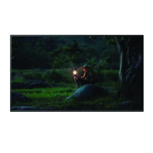 Màn chiếu khung cố định quang học Dalite Fix100U