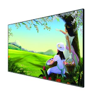 Màn chiếu khung cố định Dalite Fix106