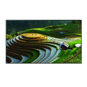 Màn chiếu khung cố định quang học Dalite Fix106U