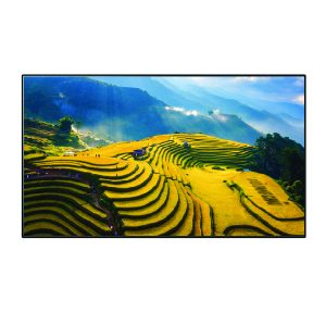 Màn chiếu khung cố định quang học Dalite Fix120U