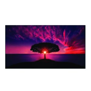 Màn chiếu khung cố định tương phản Dalite Fix84T