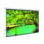 Màn chiếu phim 150 inch Dalite Film15010 thumbnail