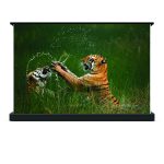 Màn chiếu điện để sàn Dalite FU106EST thumbnail