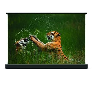 Màn chiếu điện để sàn Dalite FU106EST