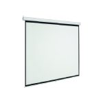 Màn chiếu treo tường Dalite P60WS thumbnail