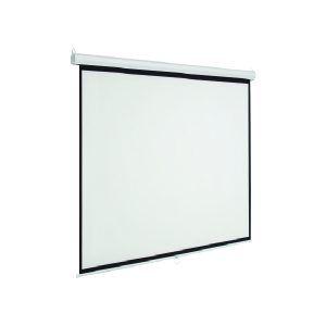 Màn chiếu treo tường Dalite PW96WS