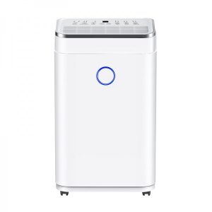 Máy hút ẩm FujiHome DH20W