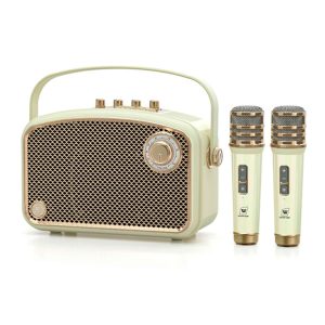 Loa karaoke WinBridge L200